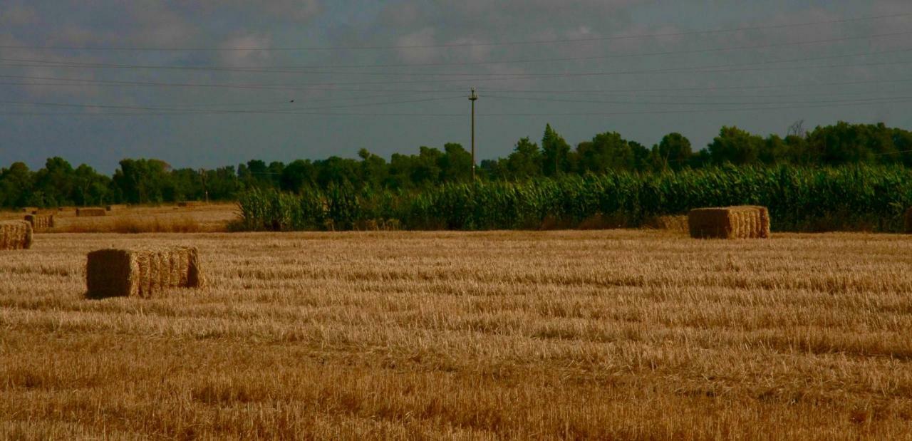 Il Silos Maccarese Exterior photo